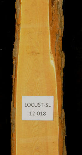 Locust live edge wood slab for sale for desks, tables, designer wall treatments, other. Item #Locust-SL-12-018