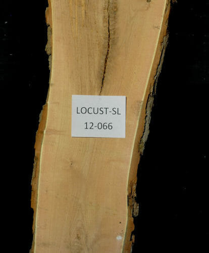 Locust live edge wood slab for sale for desks, tables, designer wall treatments, other. Item #Locust-SL-12-066
