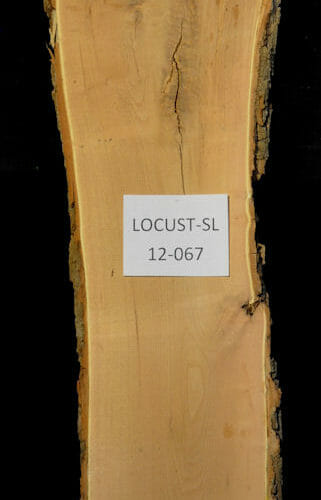 Locust live edge wood slab for sale for desks, tables, designer wall treatments, other. Item #Locust-SL-12-067