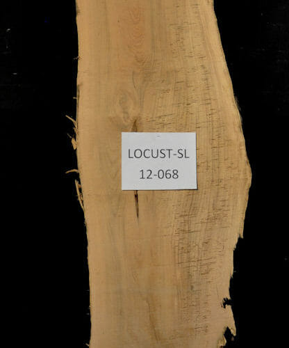 Locust live edge wood slab for sale for desks, tables, designer wall treatments, other. Item #Locust-SL-12-068