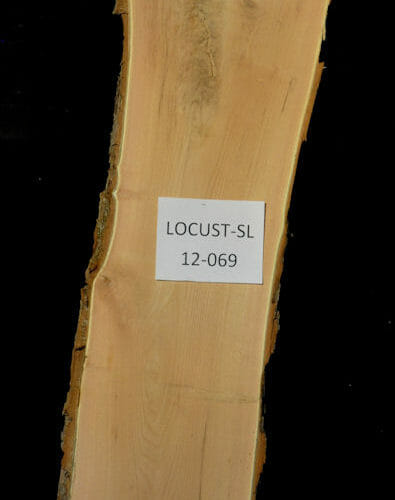 Locust live edge wood slab for sale for desks, tables, designer wall treatments, other. Item #Locust-SL-12-069