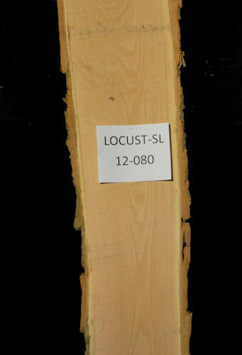 Locust live edge wood slab for sale for desks, tables, designer wall treatments, other. Item #Locust-SL-12-080