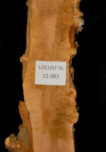Locust live edge wood slab for sale for desks, tables, designer wall treatments, other. Item #Locust-SL-12-083