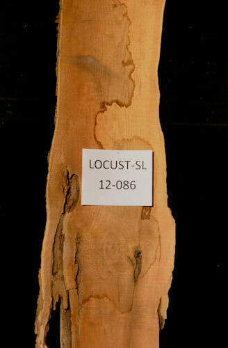 Locust live edge wood slab for sale for desks, tables, designer wall treatments, other. Item #Locust-SL-12-086
