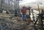 Authentic Wood Split Rail Fence