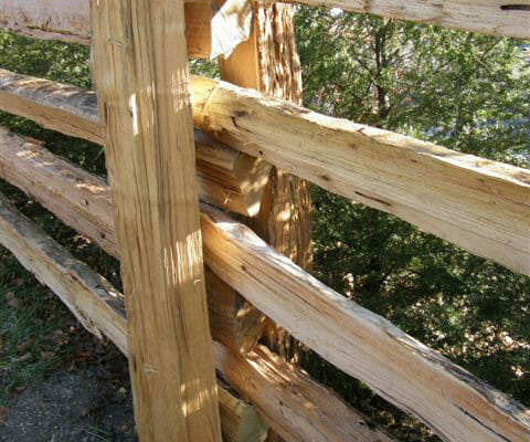 Split Rail Fence Posts