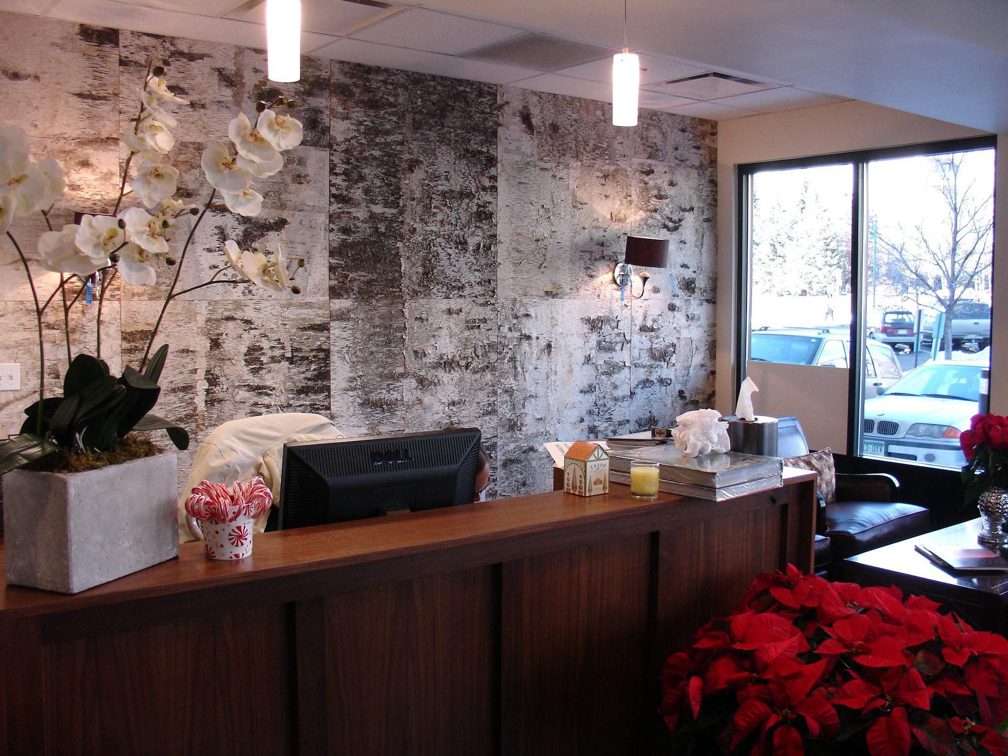 White Birch Bark Wall Coverings Gallery House Committed To Our Customers