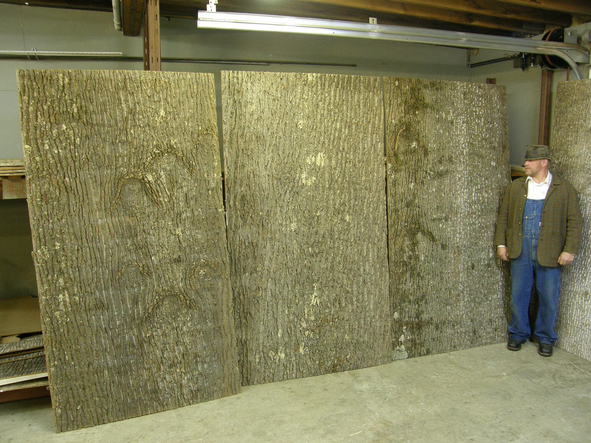 Poplar Bark Panel Wall Coverings Gallery Bark House® 