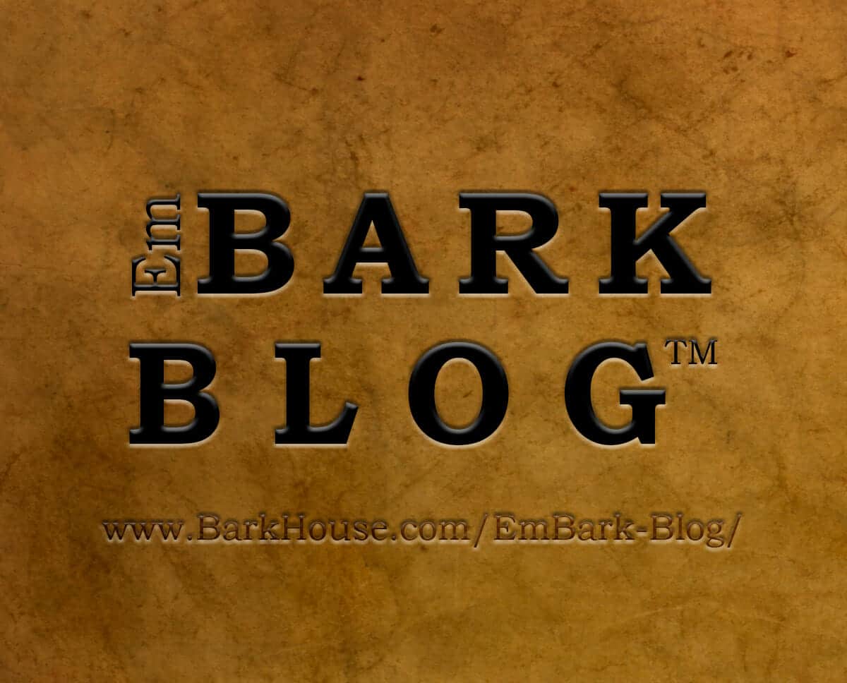 EmBark Blog Newsletter for February 2016
