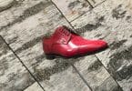 Birch Bark wall panels display Christian Louboutin men's shoe