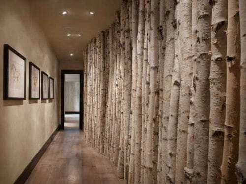 Hallway Flanked With White Birch Poles. Bark House.