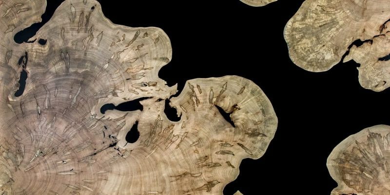 Bark House Live Edge Slabs make a fabulous artist creation coffee table