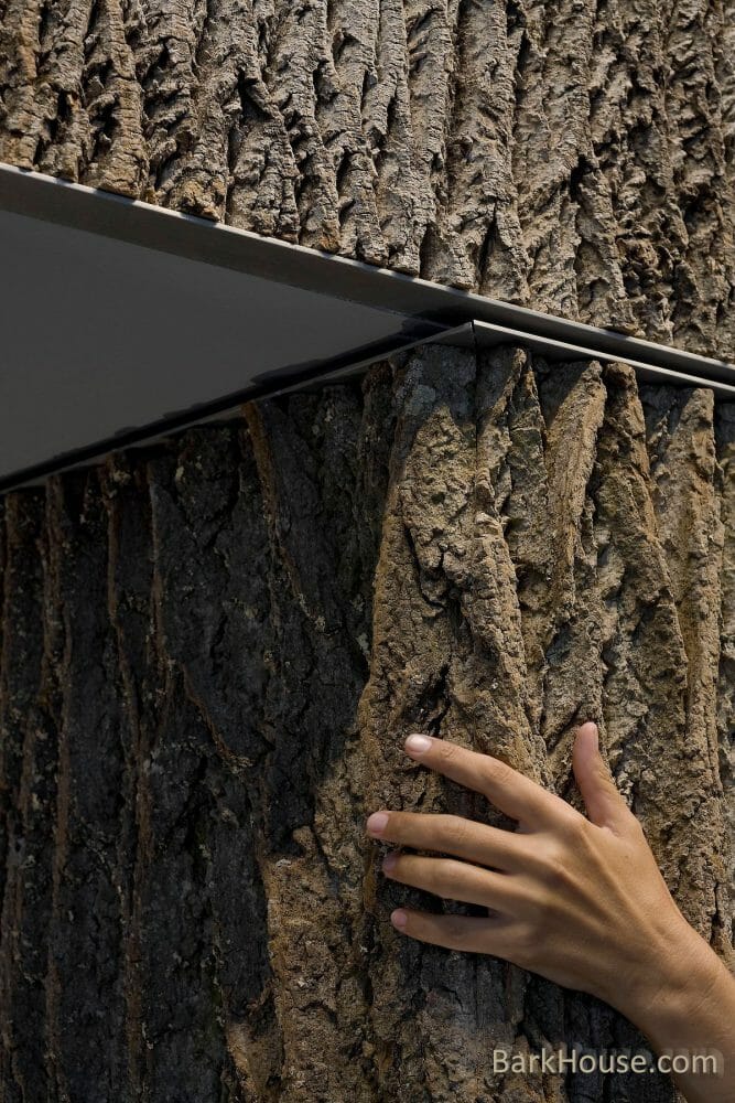 Interior tulip poplar bark panels for sale for natural wall treatments - buy from Bark House