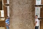 Highland Craftsmen: huge poplar bark panel wall covering