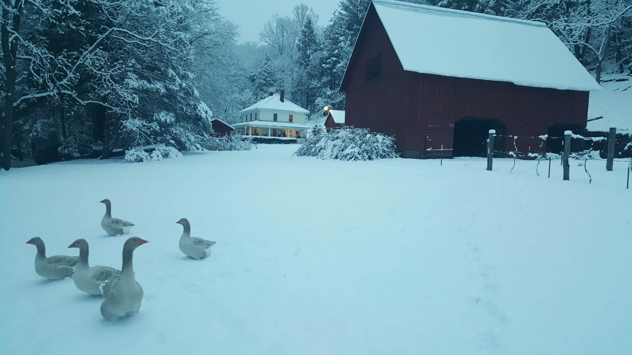 The Bark House: McCurry Farm in Winter
