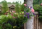 Summer flowers and Bark House brand Poplar Bark Shingles and poplar pole railings