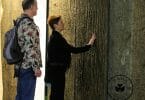 Bark House bark sheets and panels: natural texture