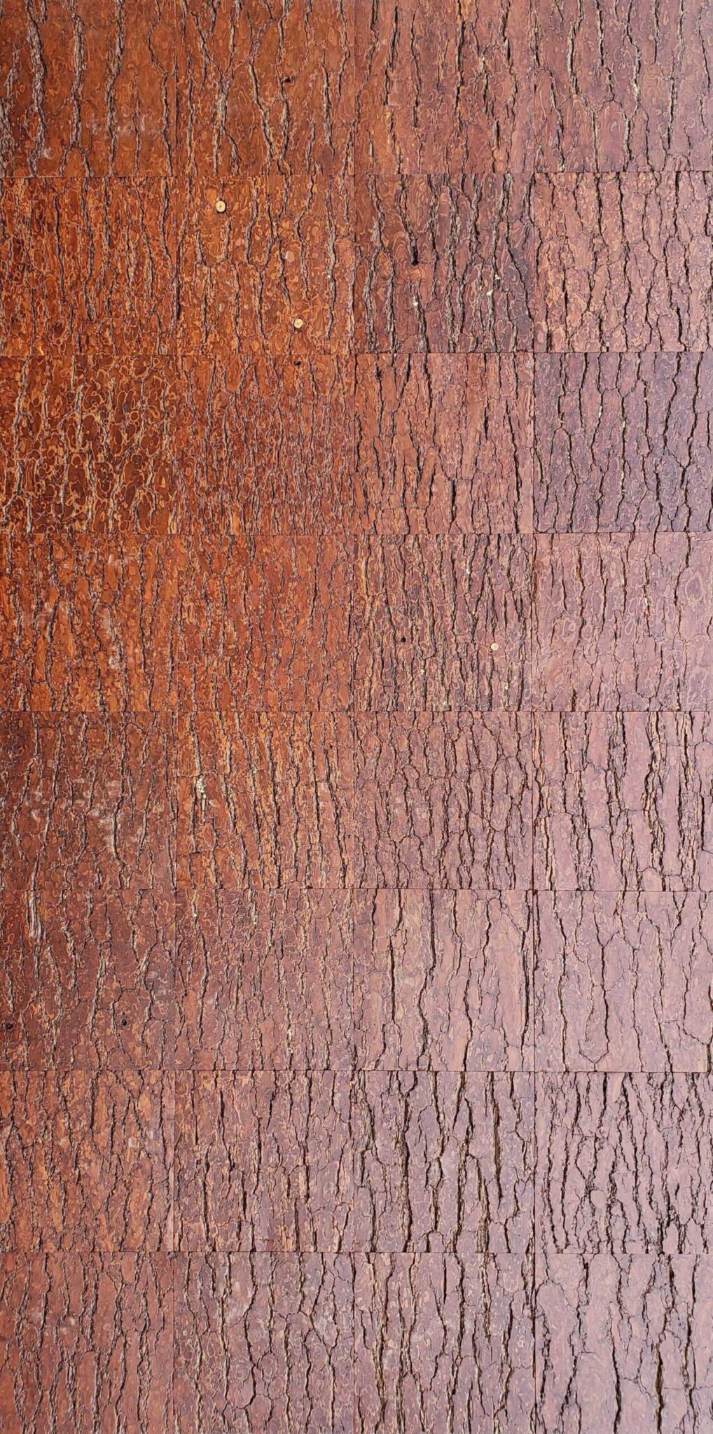 Rough Pine Wall Panels Bark House® 