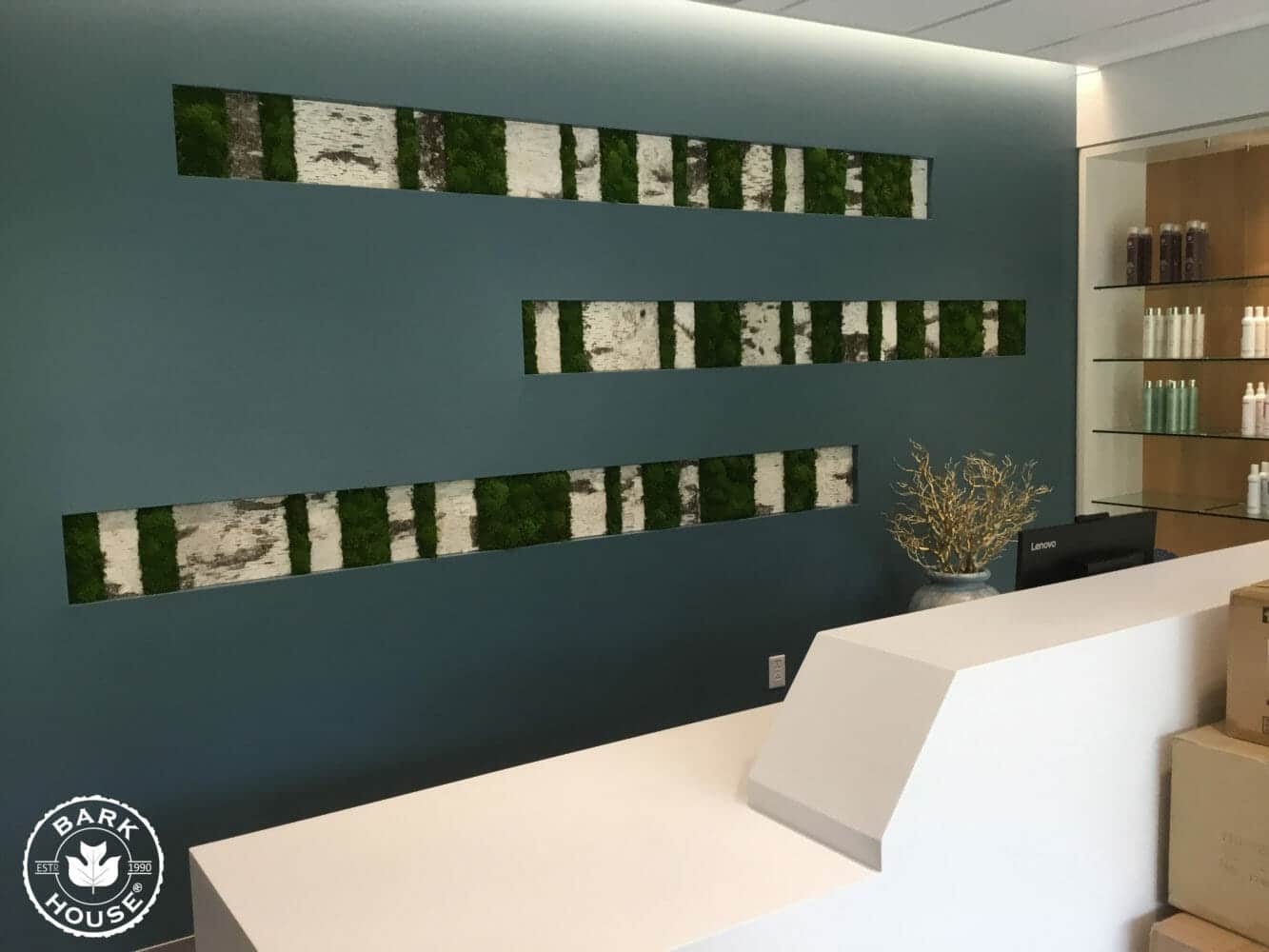 Bark House White Birch Bark Wall Covering Panels with Moss in Cancer Hospital