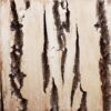 Sample of Bark House Product: Poplar Bark Sanded: Antique White