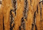 Sample of Bark House Product: Poplar Bark Sanded: clear
