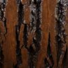Sample of Bark House Product: Poplar Bark Sanded: Tobacco