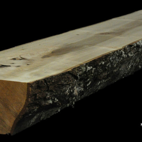 For Sale: Bark House live edge slabs and mantels. Maple MAN-19-0012