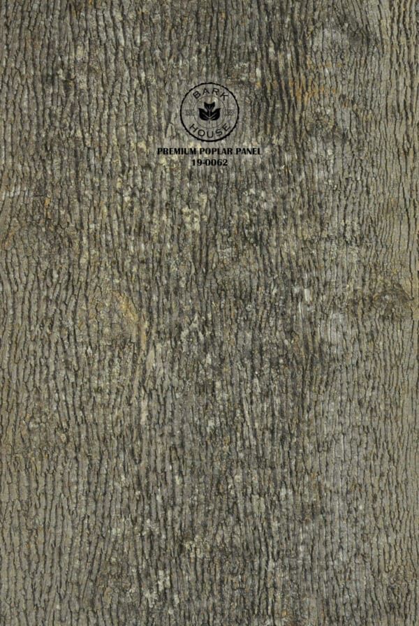 Sheets of large poplar bark wall covering panels are available for purchase from Bark House. PRE-19-0062