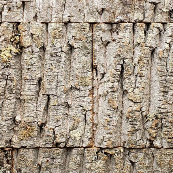 Natural Bark House Wall Covering Panel Samples with available Finishes