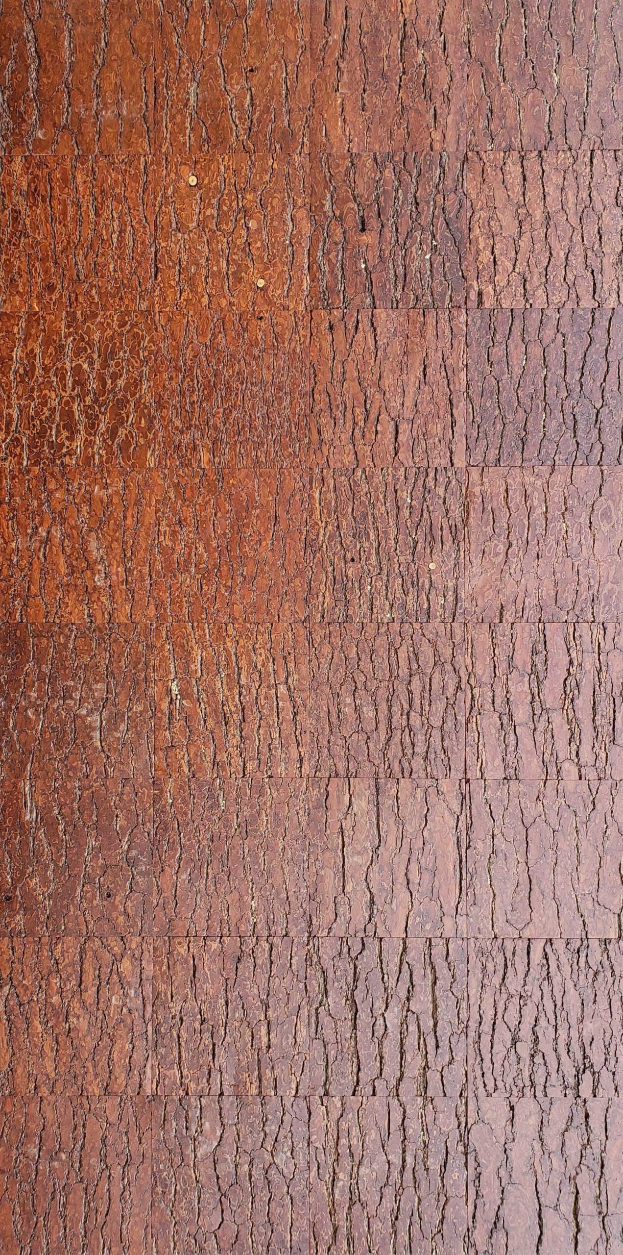 Rough Pine Wall Panels | Bark House® 