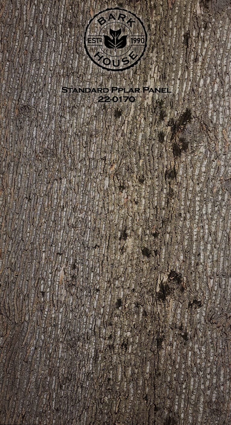 Bark House poplar bark panel SKU POPP-STD-22-0170