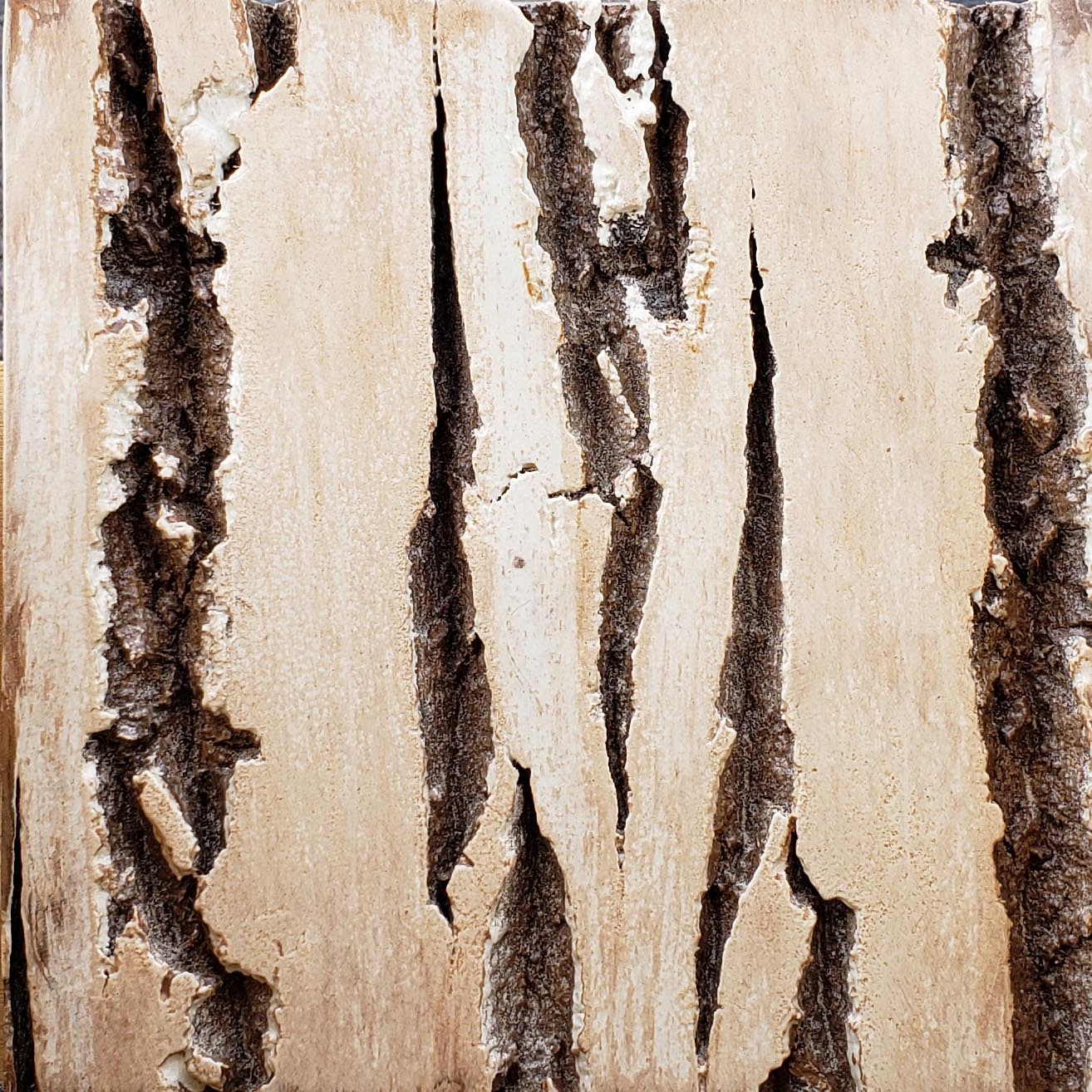 Poplar Bark Interior Wall Tiles
